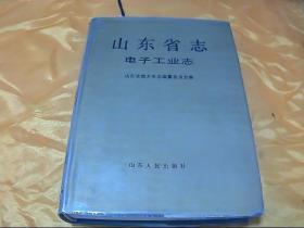 山东省志 31 电子工业志