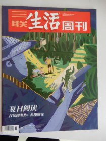 三联生活周刊 2022年第36期 总第1203期（夏日阅读）