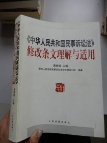 《中华人民共和国民事诉讼法》修改条文理解与适用