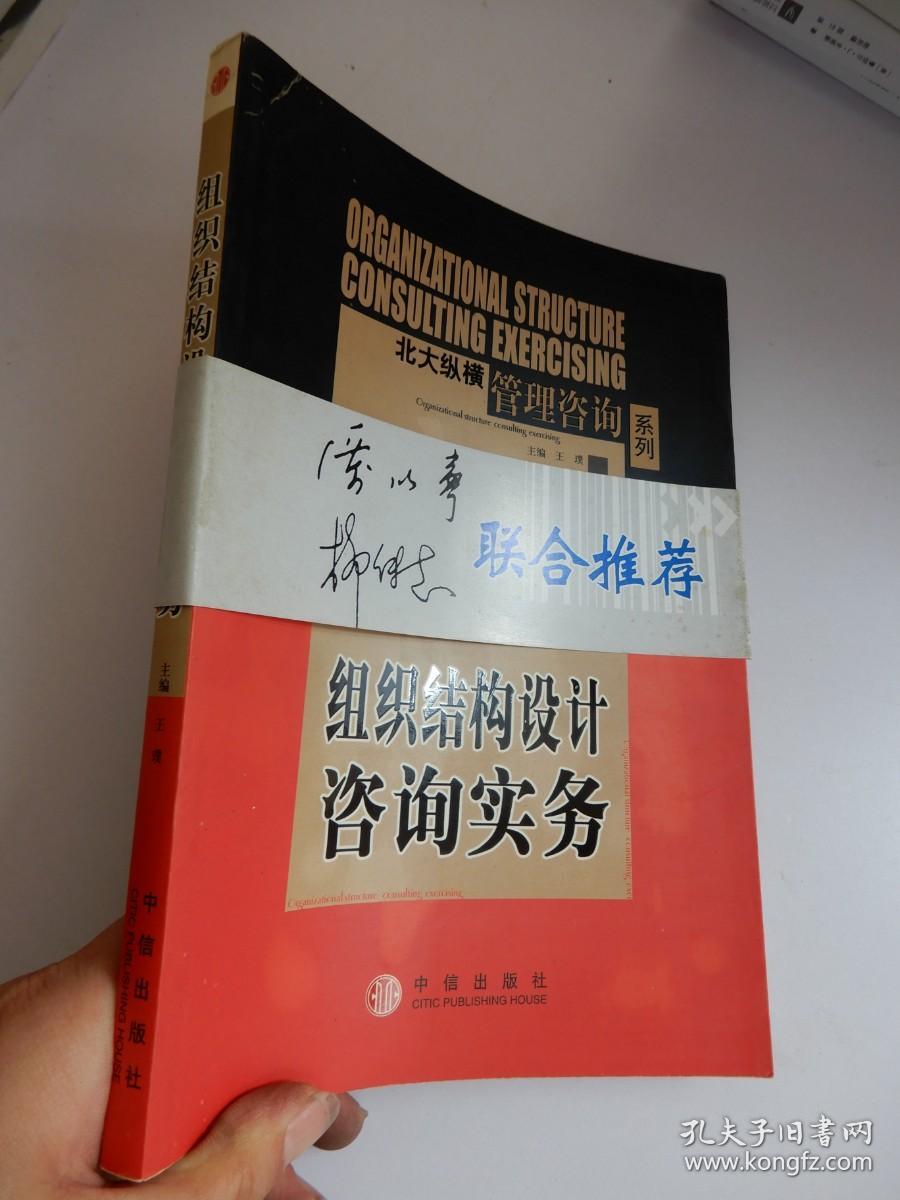 组织结构设计咨询实务（北大纵横管理咨询系列）