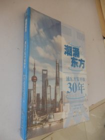 潮涌东方——浦东开发开放30年