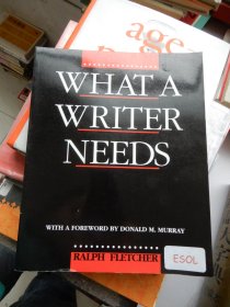What a Writer Needs