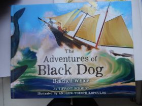 英文原版精装绘本：The Adventures of Black Dog