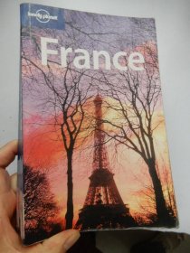 LonelyPlanet：France