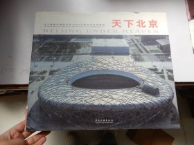 天下北京（精装）