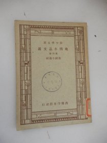 新中学文库：晚明小品文选（第四册）