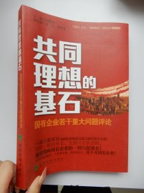 共同理想的基石：国有企业若干重大问题评论