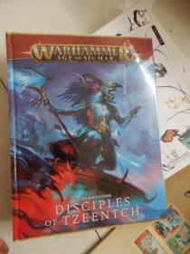 warhammer age of sigmar disciples of tzeentch战锤系列