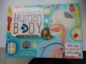 英文原版精装装绘本：The Human Body