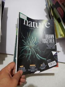 Nature 2019年第32期自然周刊杂志
