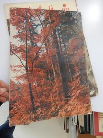 民族画报1979年10月号 封面：欢庆（新疆歌舞） 马国彦 摄影 封底：山林尽染 姜赞赫（朝鲜族）摄影