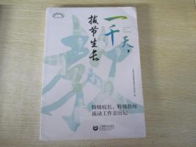 一千天，拔节生长——特级校长、特级教师流动工作亲历记