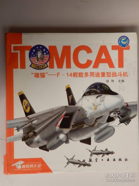 雄猫-F-14舰载多用途重型战斗机