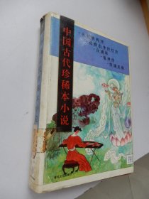 中国古代珍稀本小说.8：天妃娘妈传 达磨出身传灯传 合浦珠 鬼神传 续镜花缘（精装）