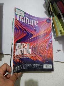 Nature 2019年第47期自然周刊杂志