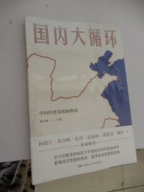 国内大循环