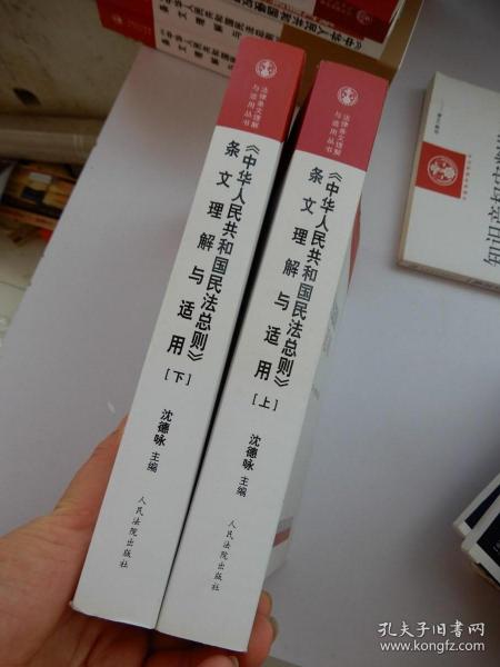 中华人民共和国民法总则 条文理解与适用（套装上下册）