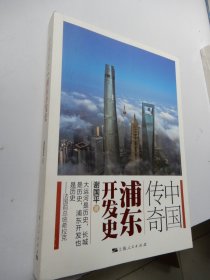 中国传奇：浦东开发史