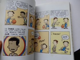 Big Nate ：Mr Popularity