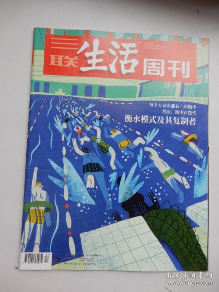 三联生活周刊 2023年第17期 总第1235期（衡水模式及其复制者 ）