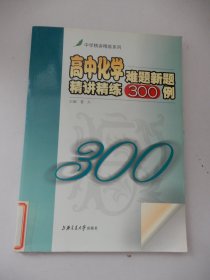 高中化学难题新题精讲精练300例