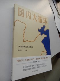 国内大循环