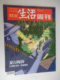 三联生活周刊 2022年第36期 总第1203期（夏日阅读）.