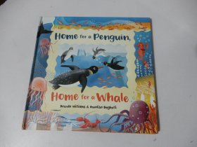 英文原版绘本·精装：HOME FOR A PENGUIN, HOME FOR A WHALE