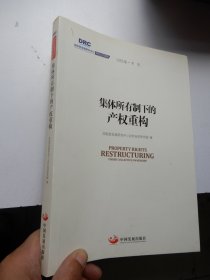 国务院发展研究中心研究丛书2015：集体所有制下的产权重构