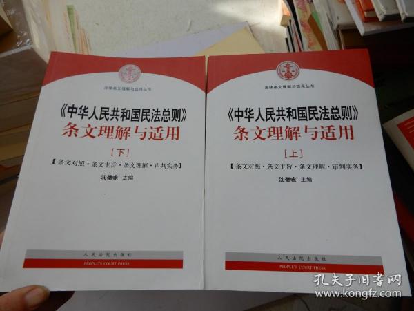 中华人民共和国民法总则 条文理解与适用（套装上下册）