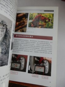 数码摄影曝光完全攻略