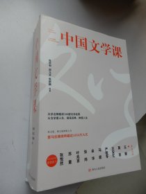 中国文学课（上下册）