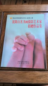 沈阳百名书画摄影艺术家捐赠作品集