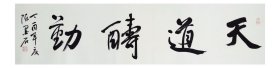陈墨石书法，中国书画家协会副主席，天道酬勤
