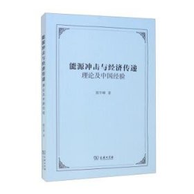 能源冲击与经济传递：理论及中国经验