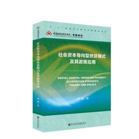 社会资本导向型扶贫模式及其政策应用