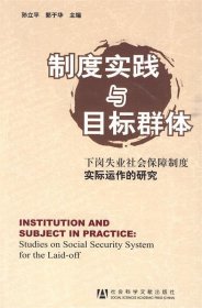 制度实践与目标群体：下岗失业社会保障制度实际运作的研究