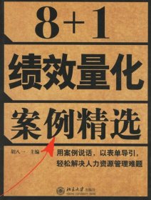 8+1绩效量化案例精选