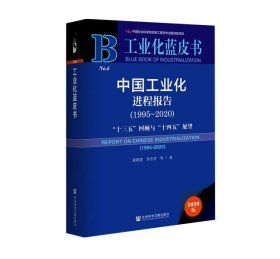 工业化蓝皮书：中国工业化进程报告