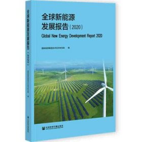 全球新能源发展报告