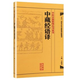 中医古籍整理丛书重刊·中藏经语译