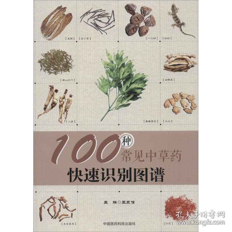 100种常见中草药快速识别图谱