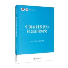 中国农村发展与社会治理研究