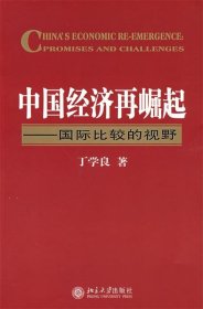 中国经济再崛起—国际比较的视野