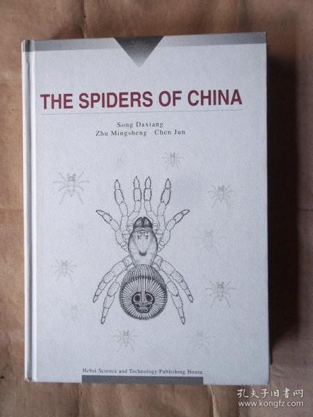 THE SPIDERS OF CHINA（中国蜘蛛）英文版