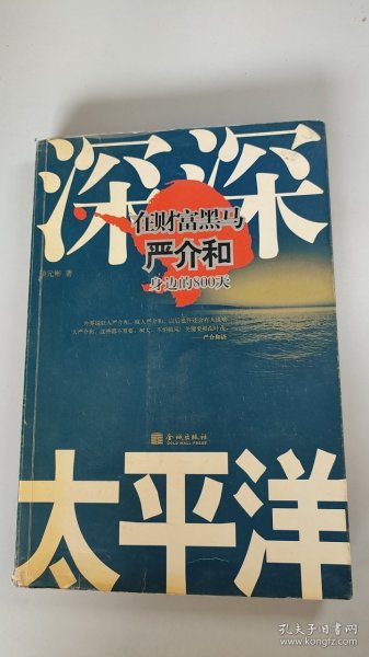 深深太平洋：在财富黑马严介和身边的800天