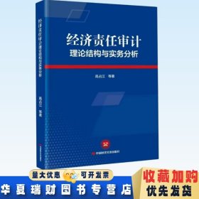 全新正版现货 经济责任审计 理论结构与实务分析 中国时代经济出版社 9787511934703