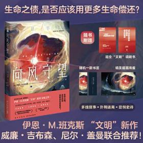 向风守望 (伊恩·班克斯 文明系列） 幻象文库出品