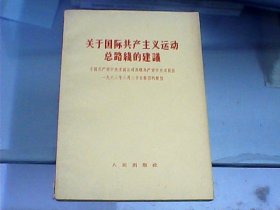 关于国际共产主义总路线的建议