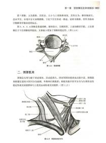 正版 实用颈肩痛骨伤科治疗学 贾育松 中医古籍出版社9787515218229